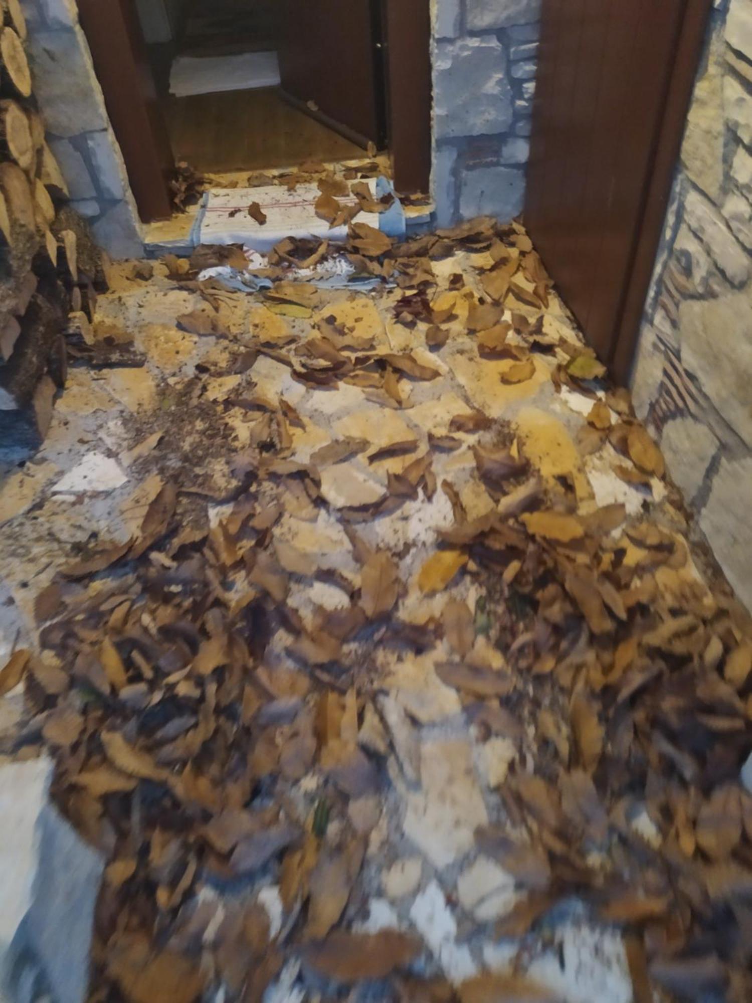 Guesthouse Petrino Pezoula Екстер'єр фото